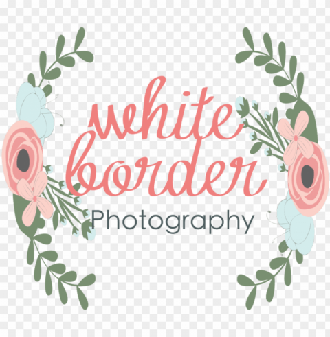 White Border Photography - Rose PNG File With Alpha