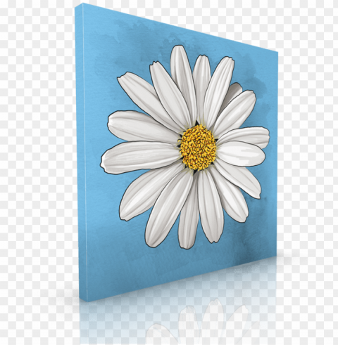 white daisy - daisy Isolated PNG Graphic with Transparency