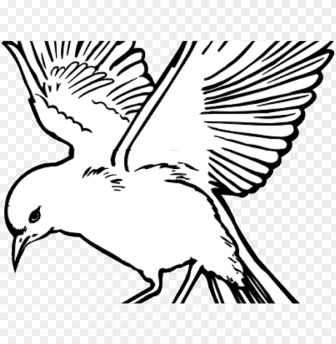 white dove clipart fire - flying bird line drawi High-resolution transparent PNG images comprehensive assortment