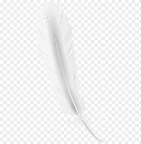 white feather clip art PNG images with alpha transparency selection