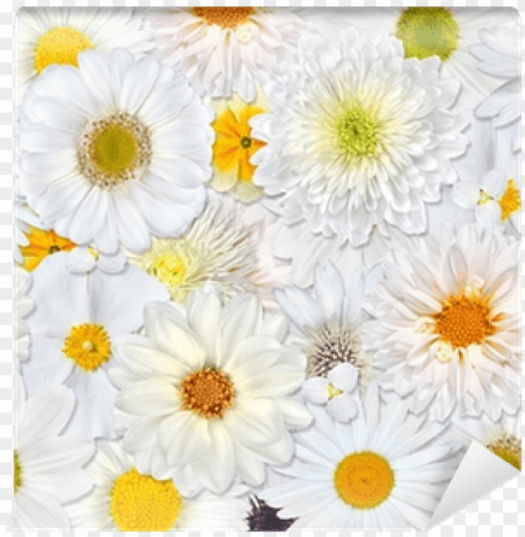 white flower wall clock Free PNG download no background