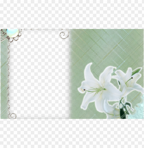 white flower frame mart - frame white flowers Free PNG images with transparent layers diverse compilation