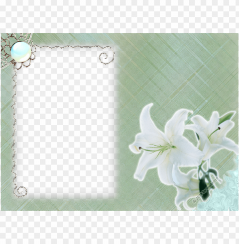 white flower frame png transparent - white flower frames Background-less PNGs