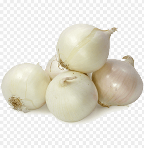 white onion - small white onio PNG file with no watermark