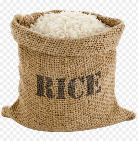 white rice image transparent - tupperware rice keeper 10k Clear Background Isolated PNG Illustration