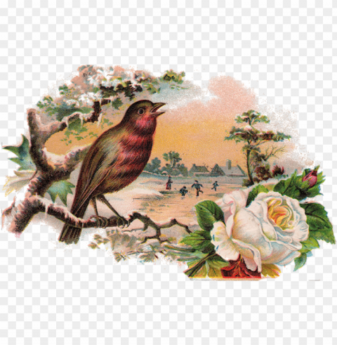 white rose and bird love story Transparent Background PNG Isolated Icon PNG transparent with Clear Background ID 8e33370b