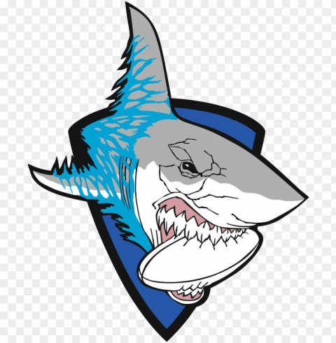 white sharks ivanovo - gambar hiu kartun kere Transparent PNG images free download