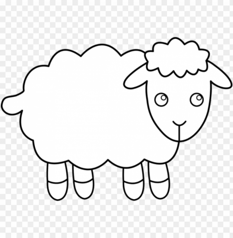 white sheep Transparent PNG images wide assortment