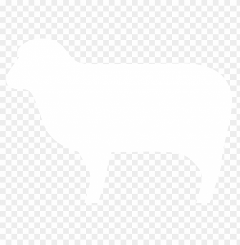 white sheep Transparent PNG Isolated Design Element
