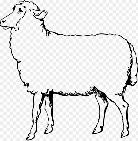 white sheep Transparent PNG Isolated Graphic Design