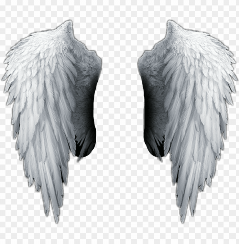white sticker - angel wings hd Isolated Artwork in HighResolution Transparent PNG