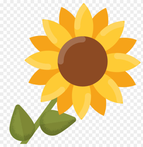 white sunflower PNG graphics with transparency