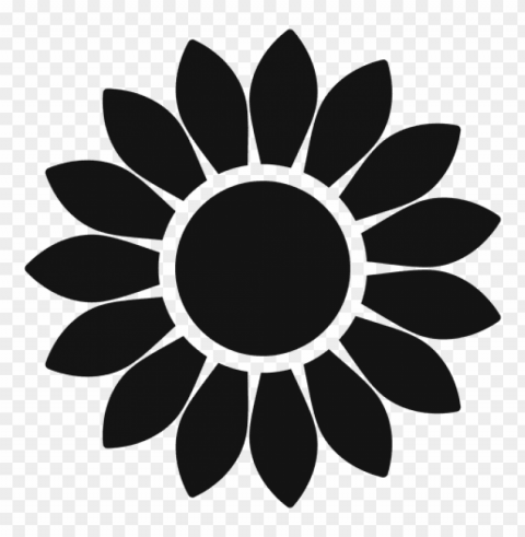 white sunflower PNG file with no watermark