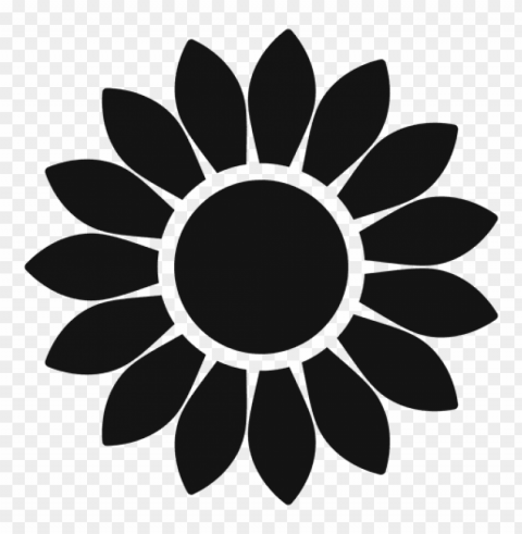 White Sunflower PNG File With No Watermark