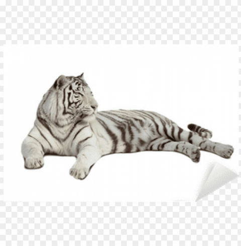 white tiger lying white tiger - tiger Free PNG images with alpha transparency