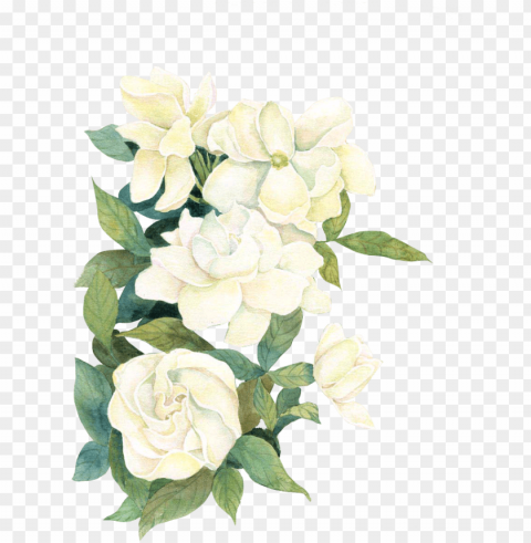 white watercolor flwoers - white watercolor flowers Isolated Object in Transparent PNG Format