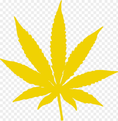 White Weed Leaf Isolated Graphic On HighQuality Transparent PNG