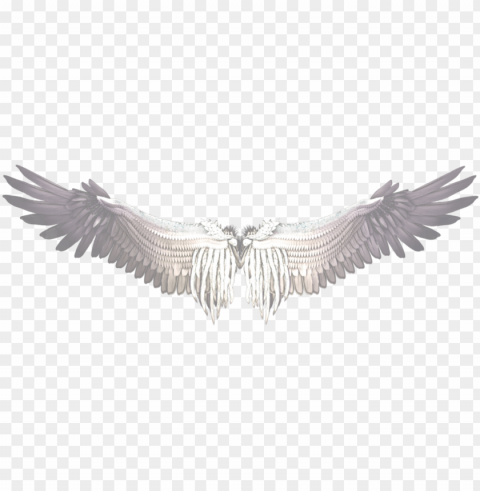 White Wings Isolated Object With Transparent Background PNG