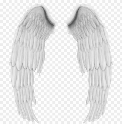 White Wings High Quality Image - Angel Feather In PNG Transparent Photos Assortment