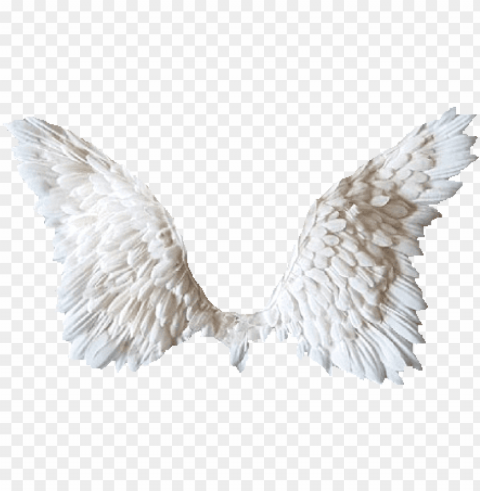 white wings tubes ailes ange et de papillon - chariot riders held by angels PNG images with no background comprehensive set PNG transparent with Clear Background ID df2991b0