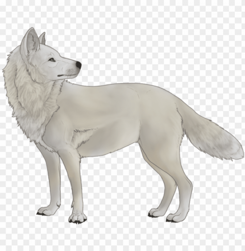 white wolf thing - white wolf no Isolated Icon with Clear Background PNG