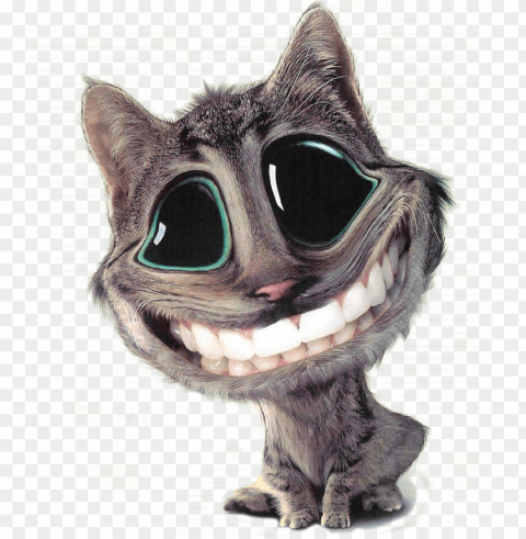 why - keep your smile cat Clear PNG pictures bundle PNG transparent with Clear Background ID f07a9346