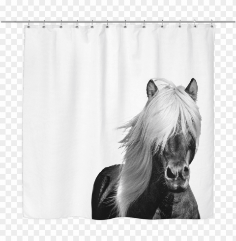 wild horse shower curtain - beautiful icelandic horse journal take notes write PNG images with no background necessary