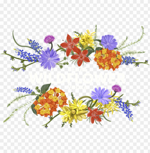 wildflower watercolour flowers vodka clip art - wildflower clipart Transparent graphics PNG
