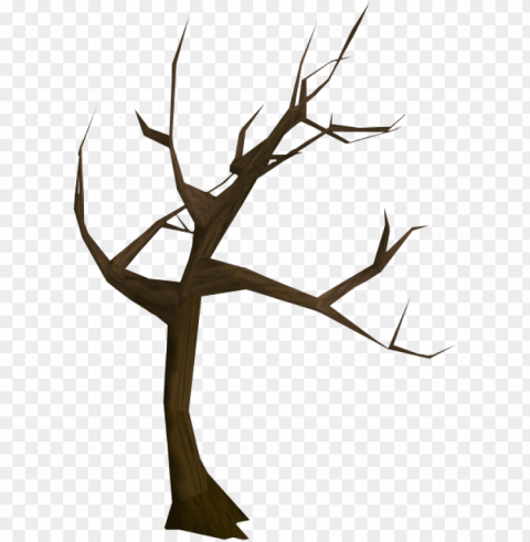 windswept tree - tree PNG with transparent background for free PNG transparent with Clear Background ID 01564c71