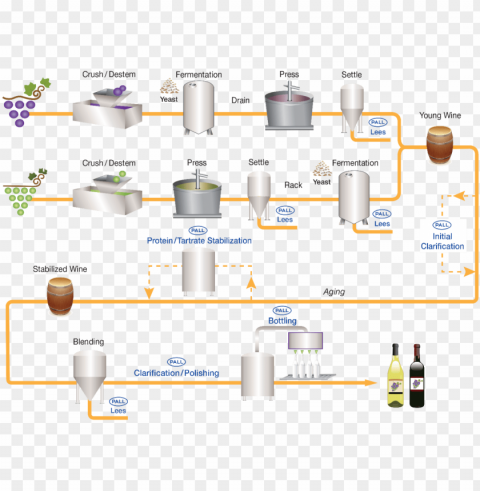 Wine Filtration Process Flow Diagram - Diagram PNG Pictures With Alpha Transparency