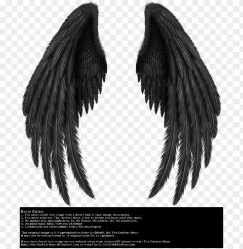 winged fantasy v 2 black by thy darkest hour - angel of death wings Isolated Object on HighQuality Transparent PNG