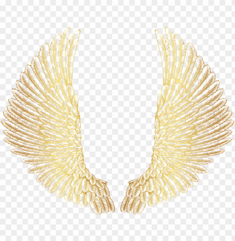 wings PNG files with no royalties PNG transparent with Clear Background ID fefb8fb2