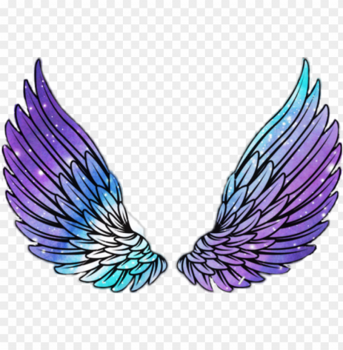 wings angel angelwings space galaxy stars star wi Isolated Character on HighResolution PNG