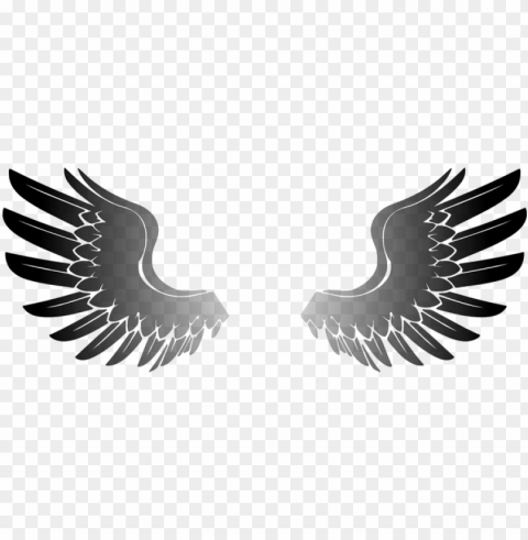 wings angel eagle bird wings wings wings w PNG images with no background needed