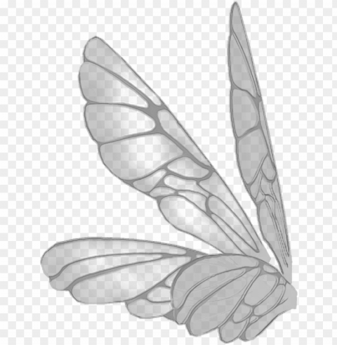 wings butterflywings butterfly fairy fairywings - fairy wings Clear background PNG images diverse assortment