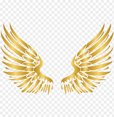 wings gold wing angel angels angelwings angelwing golde - wings vector Transparent background PNG clipart
