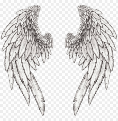 wings wing angle بال freetoedit - realistic angel wing drawi PNG files with transparent canvas collection