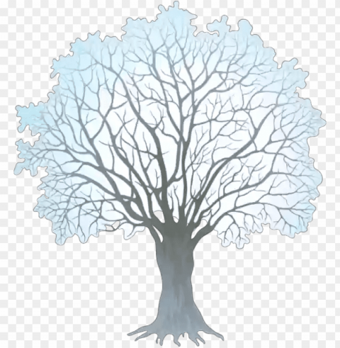winter-tree - winter tree clipart CleanCut Background Isolated PNG Graphic