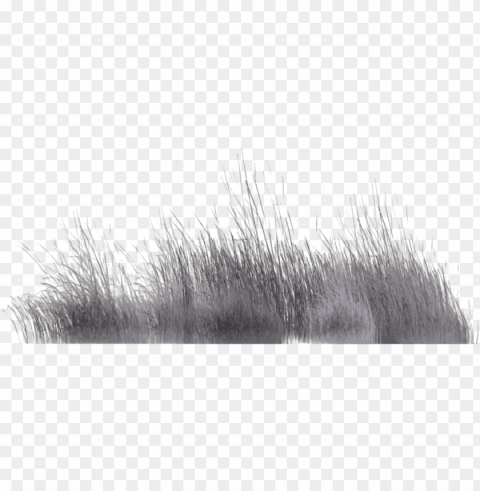 winter vegetation by wolverine041269 on deviantart - plants black and white PNG images with transparent backdrop