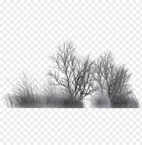 winter vegetation by wolverine041269 on deviantart - winter bushes Isolated Subject on HighQuality PNG
