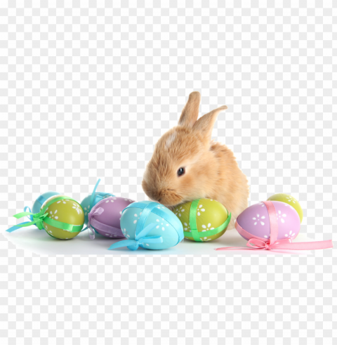 with eggs transparent marges - easter bunny eggs Clear PNG pictures assortment