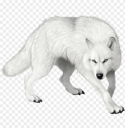 wolf clipart - loup blanc dans la neige PNG format with no background