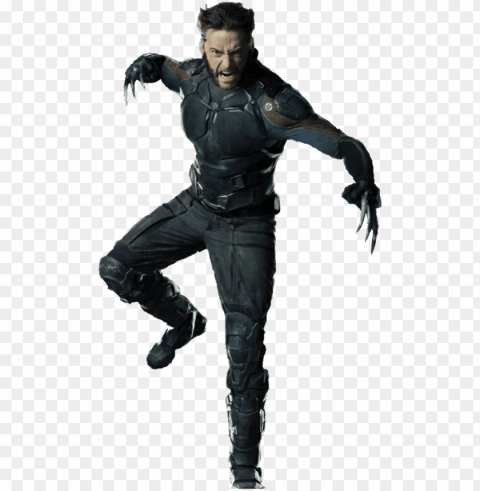 wolverine - wolverine Isolated Element on Transparent PNG PNG transparent with Clear Background ID 625fcade