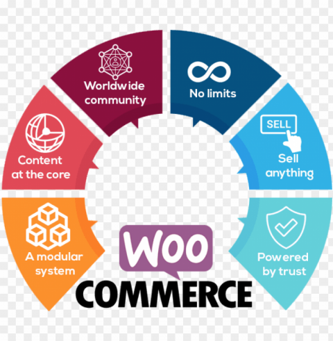 woo commerce infographic - woocommerce developer transparent PNG Graphic Isolated on Clear Backdrop
