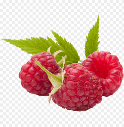wrapper raspberries - fruit chia bar raspberry 088 oz zego Isolated Graphic on Clear Background PNG