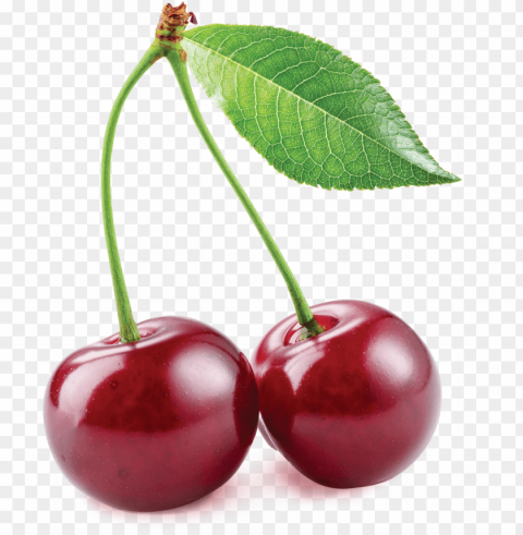 write a review - cherry PNG with Clear Isolation on Transparent Background