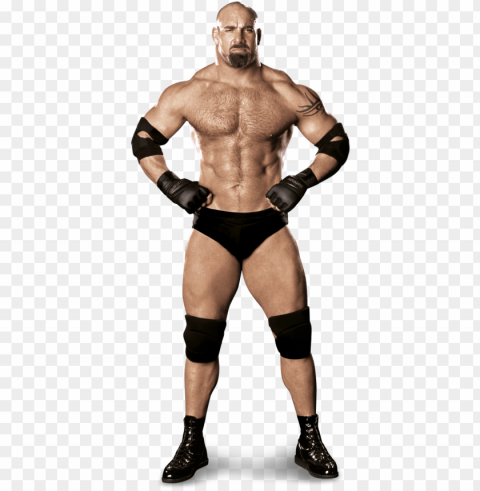 wwe tag team championship - goldberg 2017 universal champio PNG transparent designs for projects