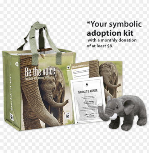 wwf elephant adoption certificate PNG Graphic Isolated on Clear Background Detail