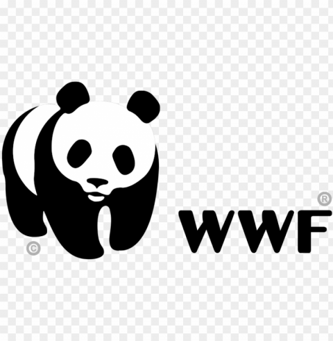 wwf logo horizontal - world wildlife foundation logo shirt PNG transparent pictures for editing