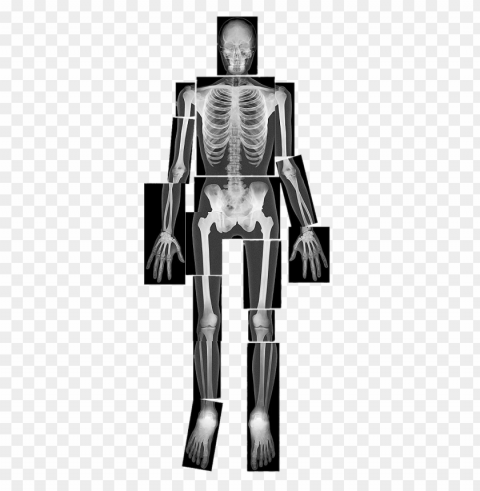 x-ray of full body PNG Isolated Subject with Transparency PNG transparent with Clear Background ID c3ee31dd